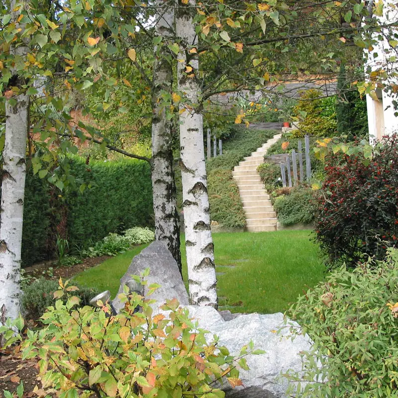 Amenagement jardin Bourgogne