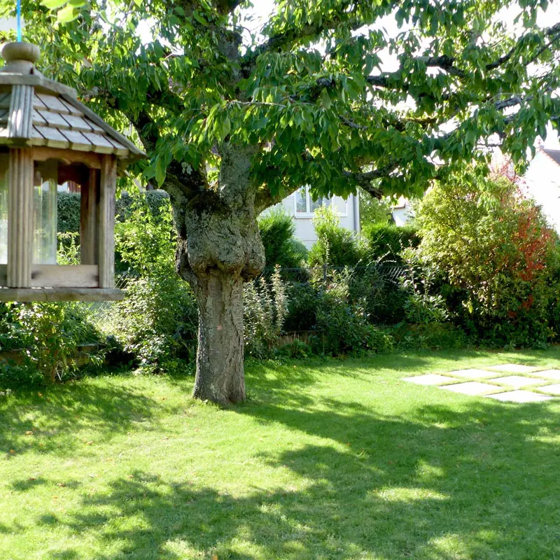 Amenagement jardins Dijon Bourgogne