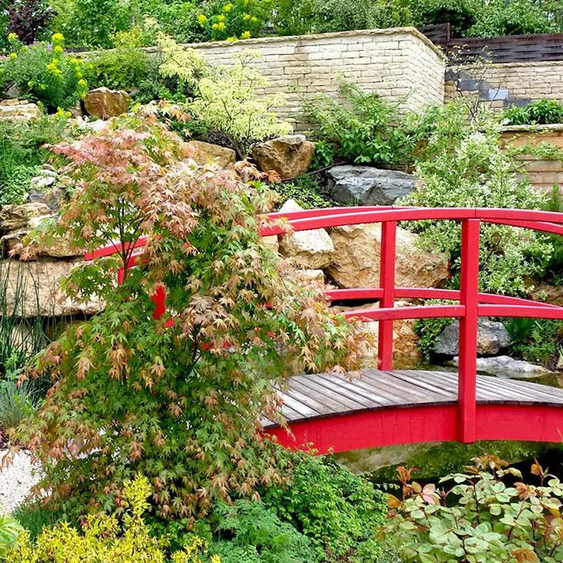 Bassin et pont en bois