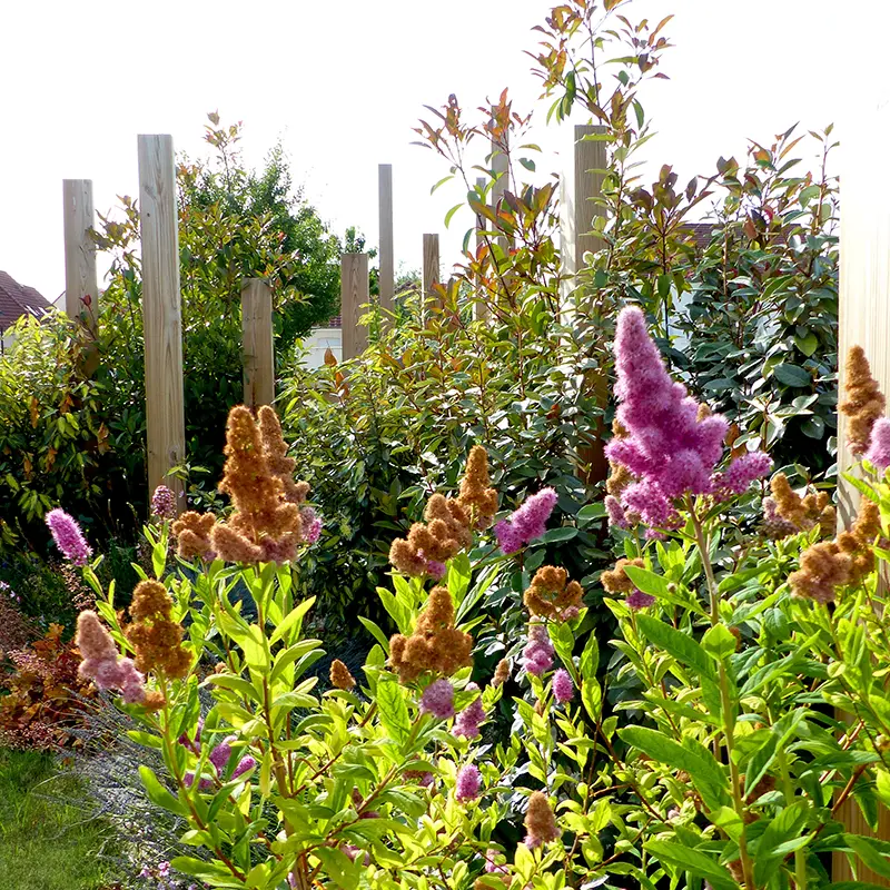 Massif fleuri pieux bois