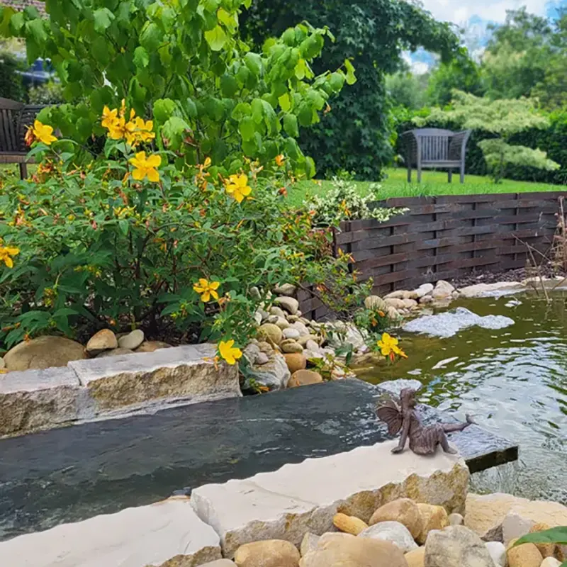 Amenagement d un jardin d'eau en Bourgogne