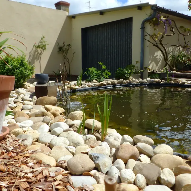 Creation d'un jardin aquatique et plantations de vegetaux