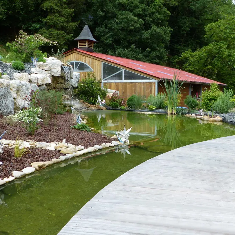 Jardin aquatique cascade