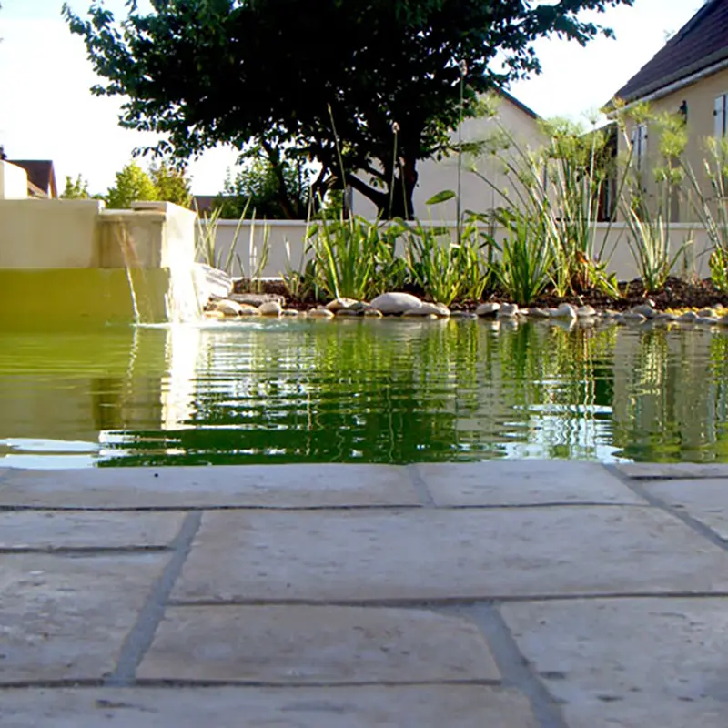 Piscine plage contemporaine