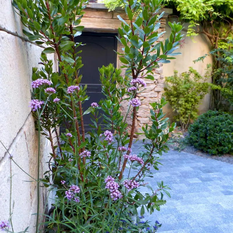 Amenagement patio à Dijon