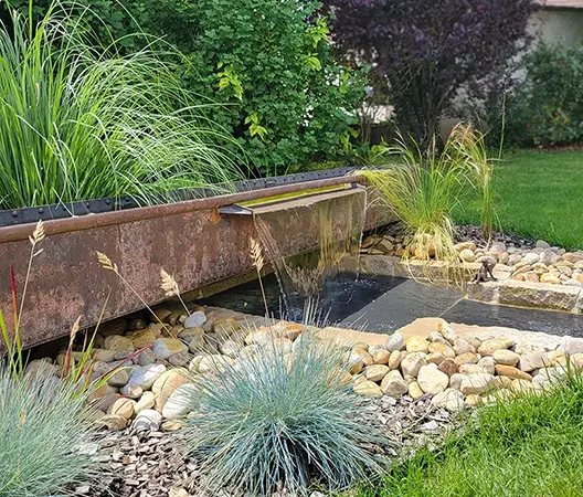 Aménagement d'un jardin d'eau en Bourgogne