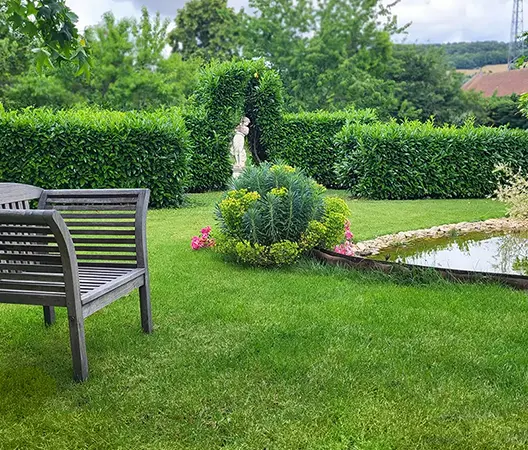 Rénovation d'un jardin à la campagne