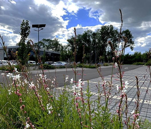 touches de couleur bord de parking