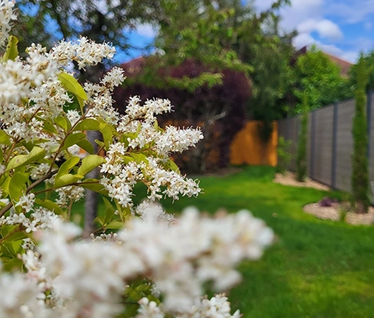 au coeurs du végétal 4