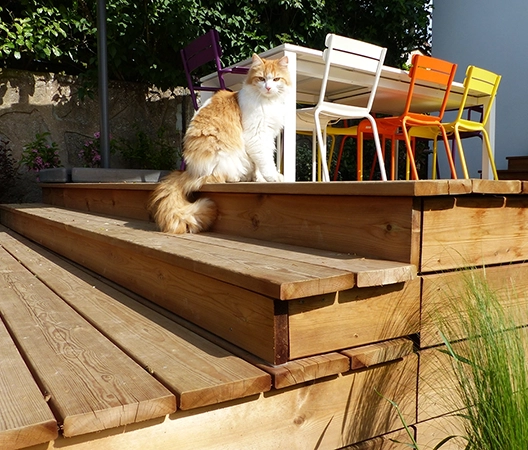 Escalier en bois